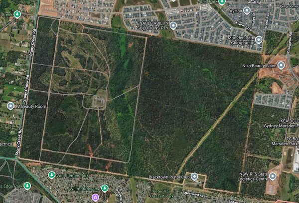 Exploring the notorious Bidwill bush